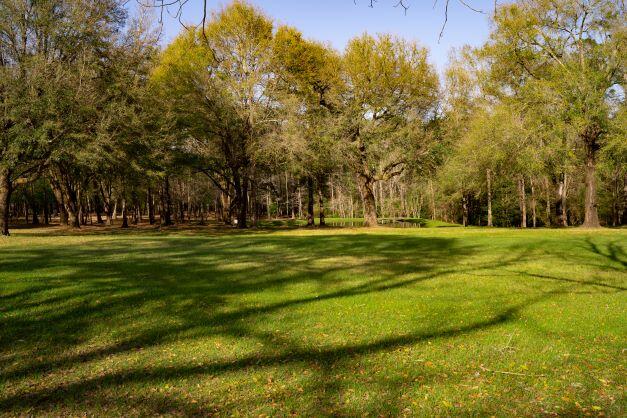 2199 Curtis Madden Road Baker, FL 32531 - Photo 2 of 63 a garden view with outdoor space