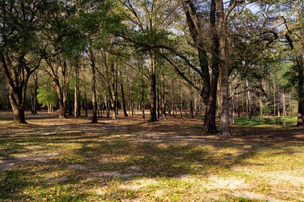 2199 Curtis Madden Road Baker, FL 32531 - Photo 4 of 63 a view of road with trees