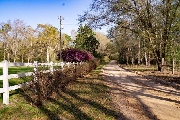 2199 Curtis Madden Road Baker, FL 32531 - Photo 41 of 63 a view of a park with large trees