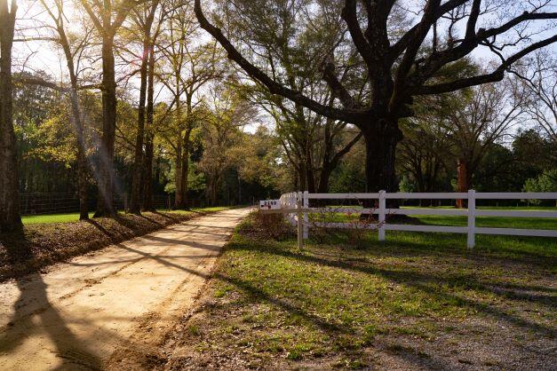 2199 Curtis Madden Road Baker, FL 32531 - Photo 42 of 63 a view of backyard with green space