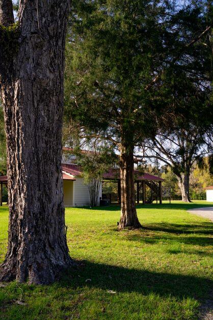 2199 Curtis Madden Road Baker, FL 32531 - Photo 43 of 63