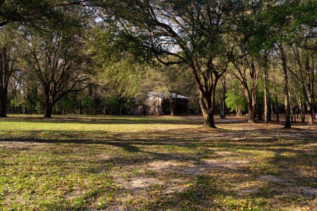 2199 Curtis Madden Road Baker, FL 32531 - Photo 5 of 63 a view of swimming pool with large trees