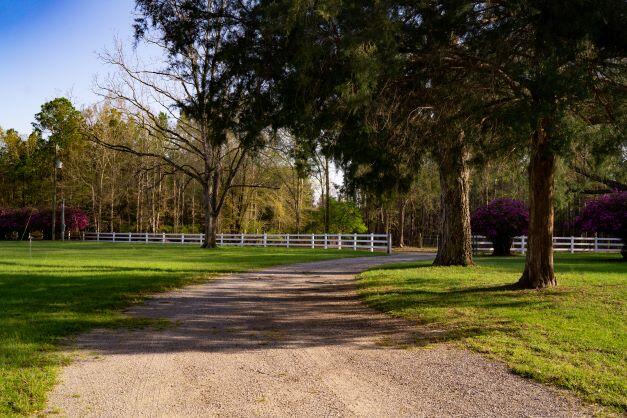 2199 Curtis Madden Road Baker, FL 32531 - Photo 56 of 63 a view of a park with large trees