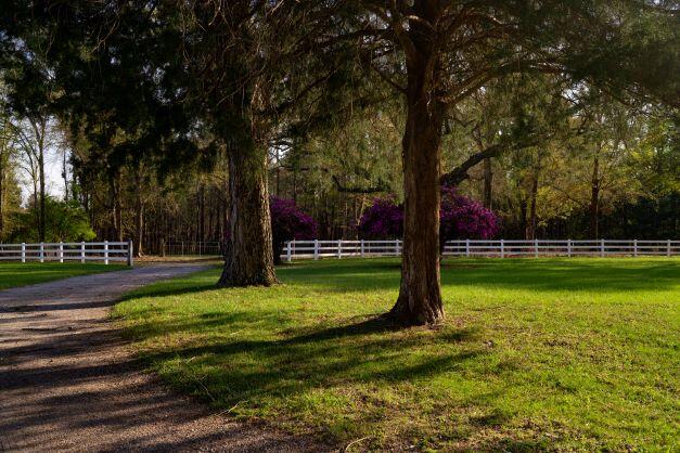 2199 Curtis Madden Road Baker, FL 32531 - Photo 57 of 63 a view of a park