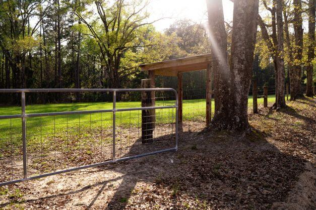 2199 Curtis Madden Road Baker, FL 32531 - Photo 60 of 63 a view of a park with large trees
