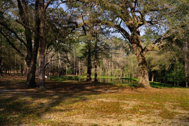 2199 Curtis Madden Road Baker, FL 32531 - Photo 6 of 63 a view of outdoor space with trees