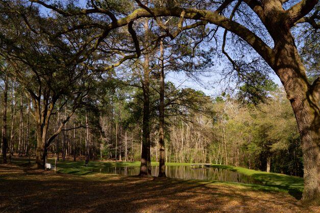 2199 Curtis Madden Road Baker, FL 32531 - Photo 8 of 63 a view of park