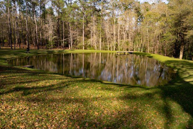 2199 Curtis Madden Road Baker, FL 32531 - Photo 9 of 63