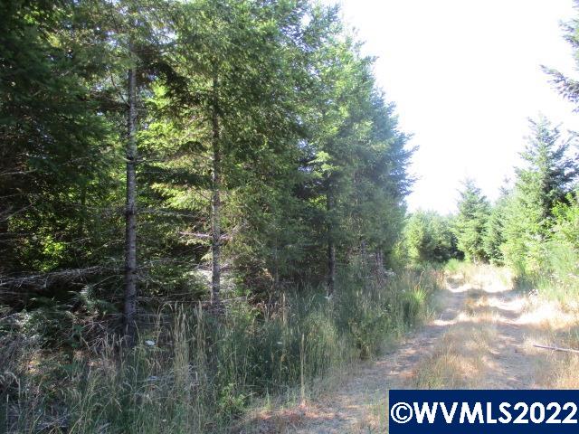 0 Timber (east) Road Forest Grove, OR 97116 - Photo 4 of 9