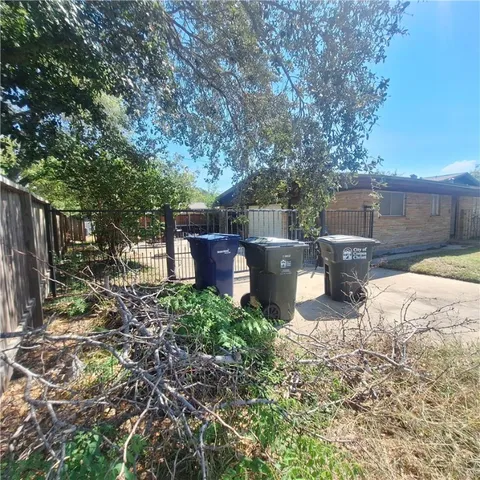a view of a backyard with plants and trees