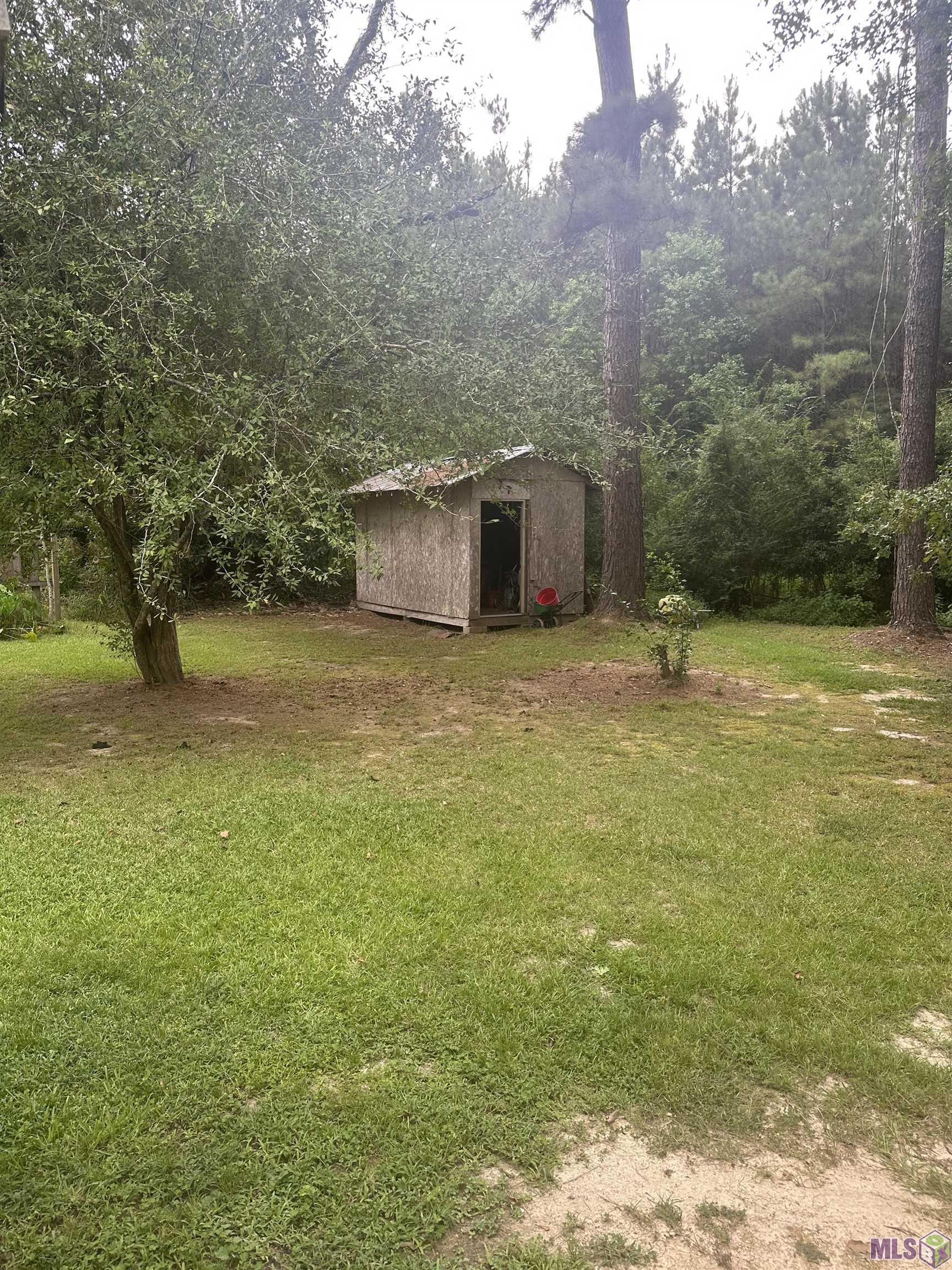 19591 John Stafford Road Walker, LA 70785 - Photo 6 of 7