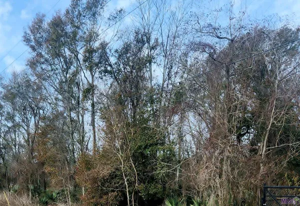 $199,000 | Tbd Denver Hurst Road, Gonzales, LA 70737