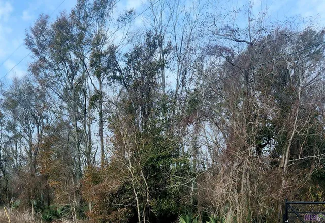 $199,000 | Tbd Denver Hurst Road, Gonzales, LA 70737