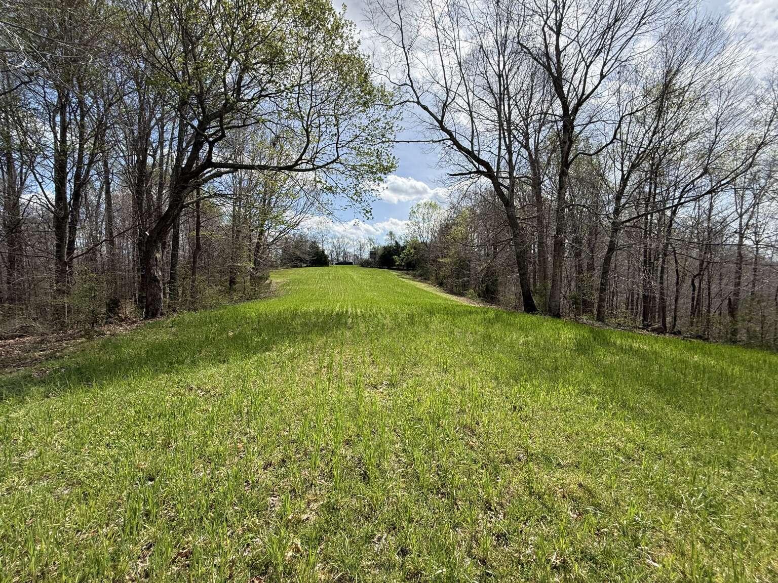 5483 Subtle Road Edmonton, KY 42129 - Photo 10 of 23 Purvis.10