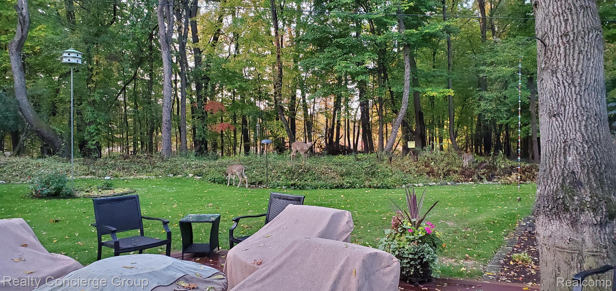 7170 Cowell Road Brighton, MI 48116 - Photo 32 of 38 Enjoy the plush landscaping & wildlife that visits
