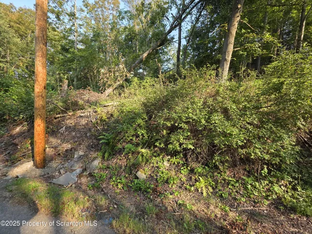 a view of a forest with houses
