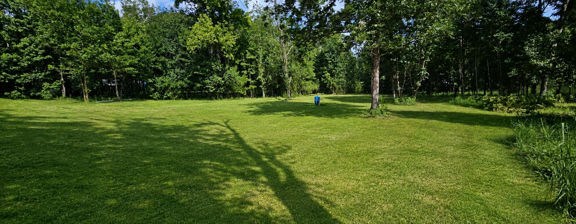 692 Gardensgate Road Eutawville, SC 29048 - Photo 18 of 18 Back Yard