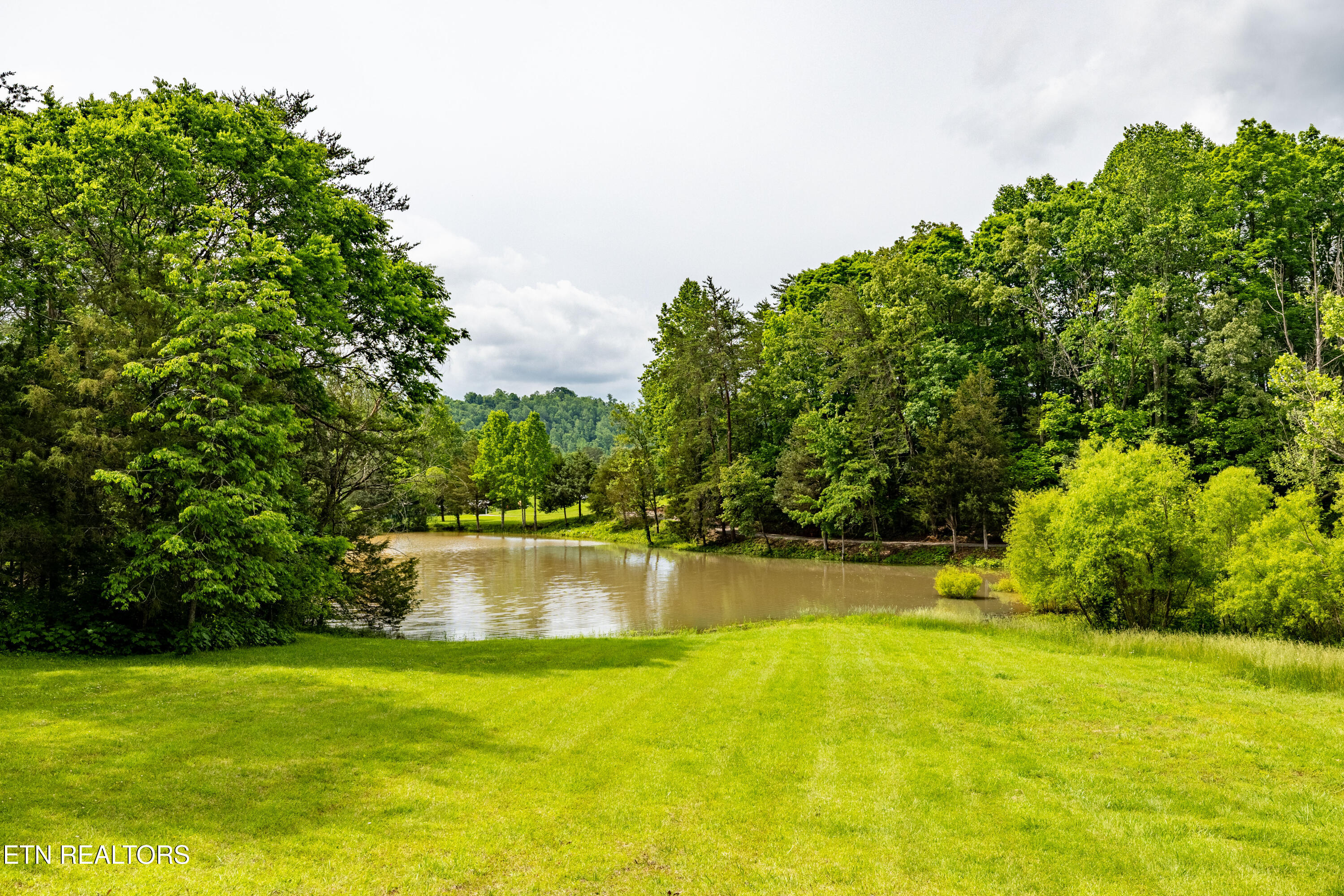 1139 Reagan Valley Road Tellico Plains, TN 37385 - Photo 35 of 57 1139ReaganValleyRdTP-35