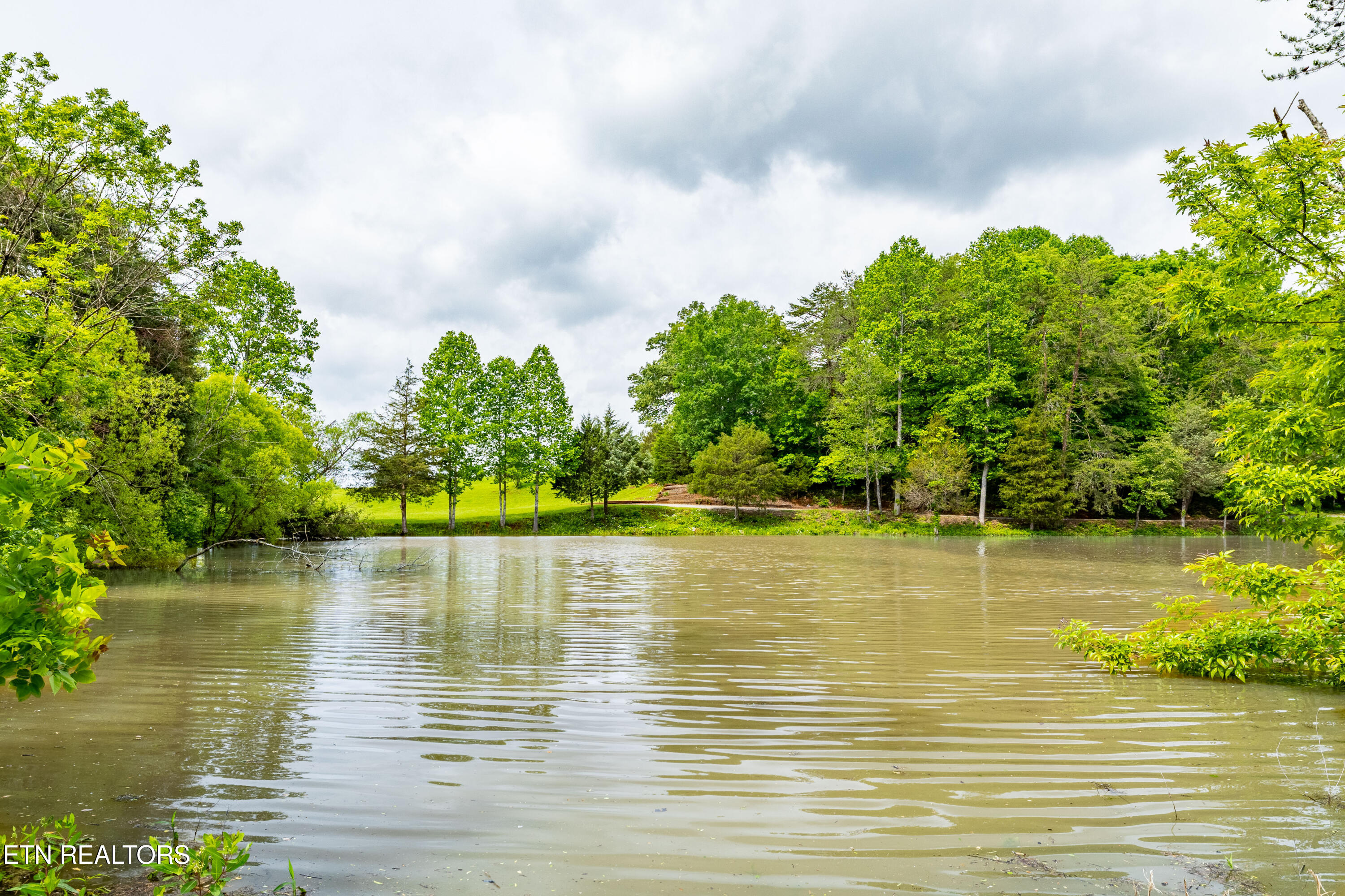 1139 Reagan Valley Road Tellico Plains, TN 37385 - Photo 36 of 57 1139ReaganValleyRdTP-32