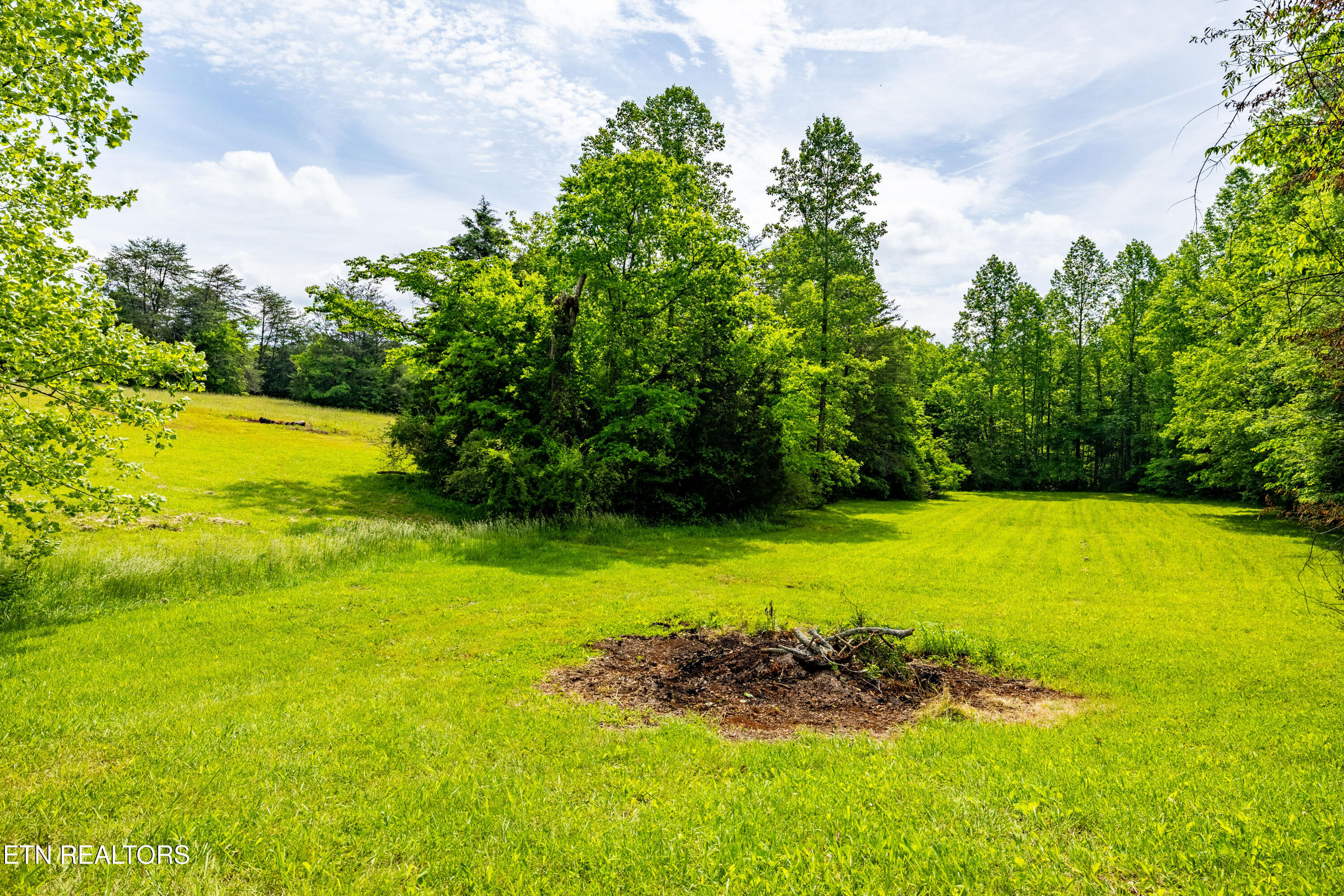 1139 Reagan Valley Road Tellico Plains, TN 37385 - Photo 37 of 57 1139ReaganValleyRdTP-29