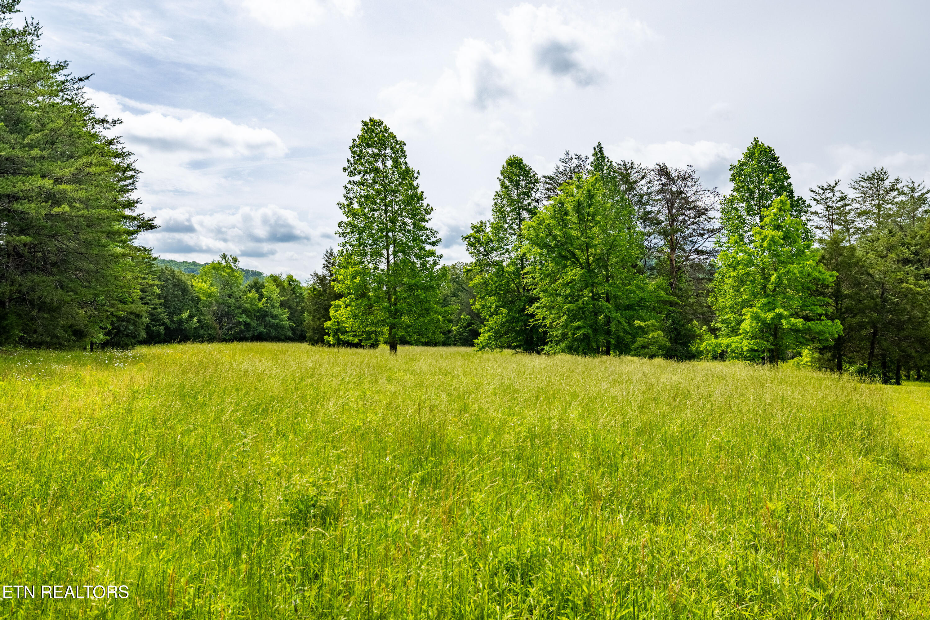 1139 Reagan Valley Road Tellico Plains, TN 37385 - Photo 38 of 57 1139ReaganValleyRdTP-34