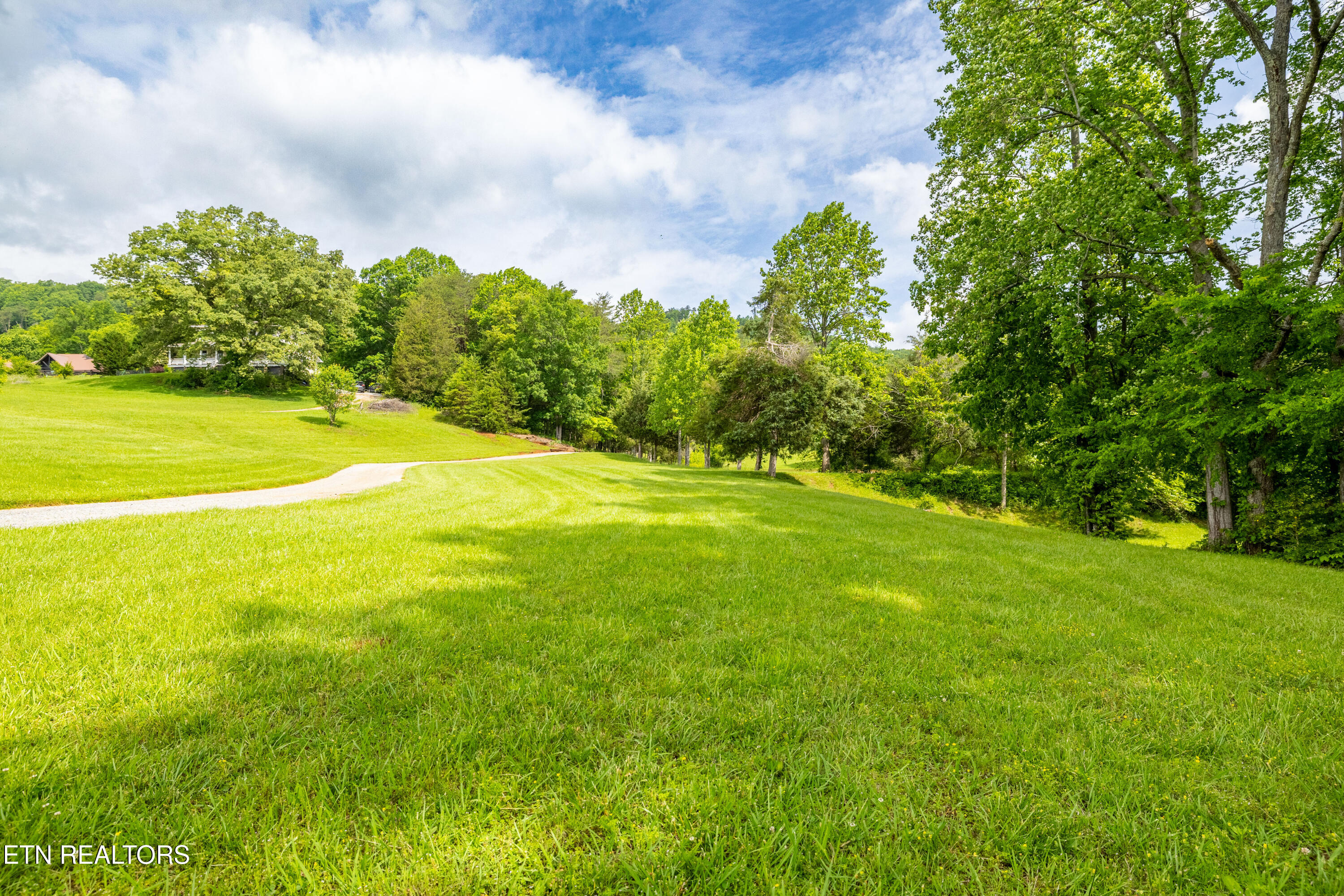 1139 Reagan Valley Road Tellico Plains, TN 37385 - Photo 39 of 57 1139ReaganValleyRdTP-18