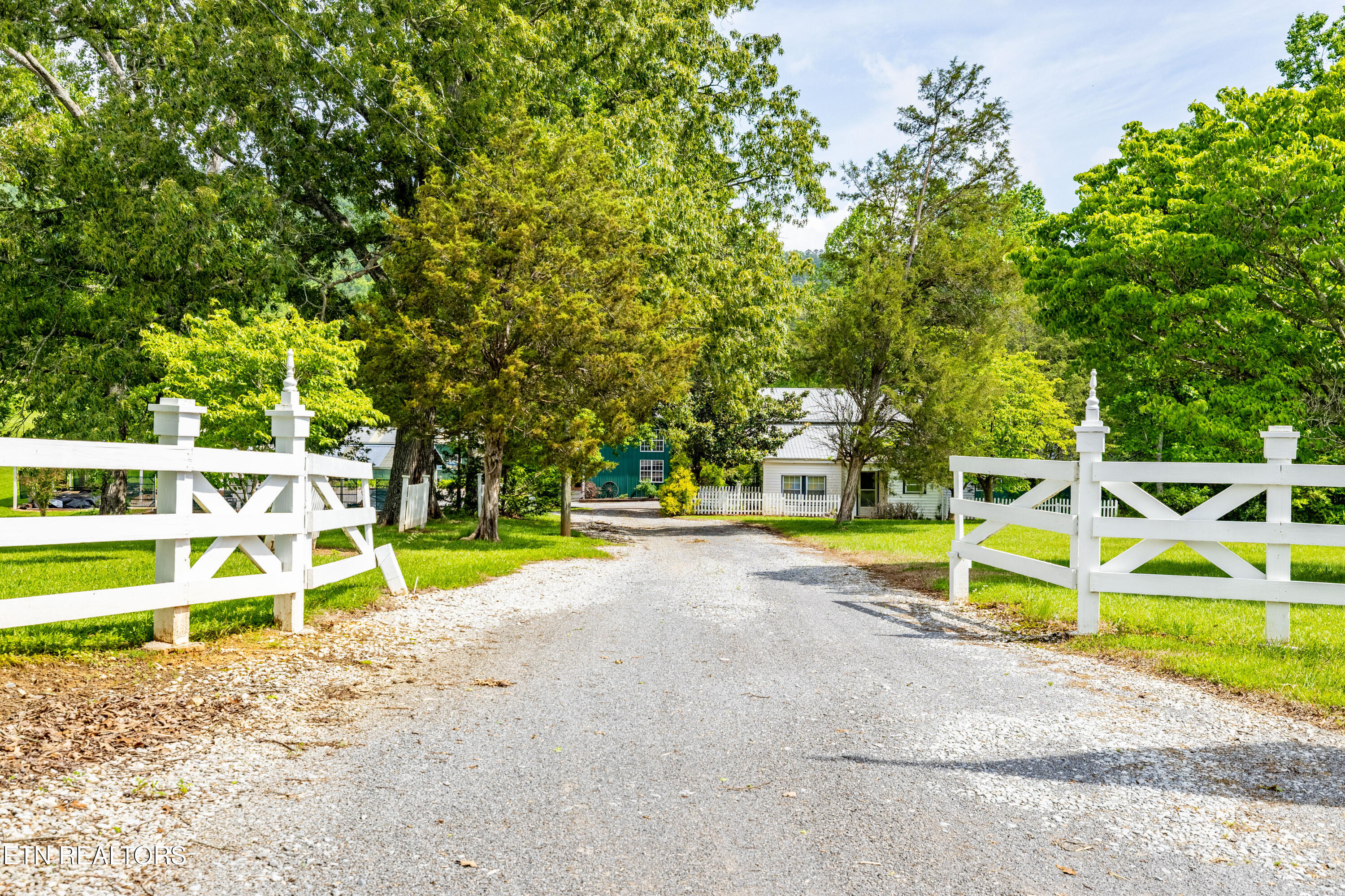 1139 Reagan Valley Road Tellico Plains, TN 37385 - Photo 41 of 57 1139ReaganValleyRdTP-28