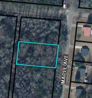 1 South Maple Avenue Denmark, SC 29042 - Photo 1 of 1 01 S Maple Avenue - MAP#12
