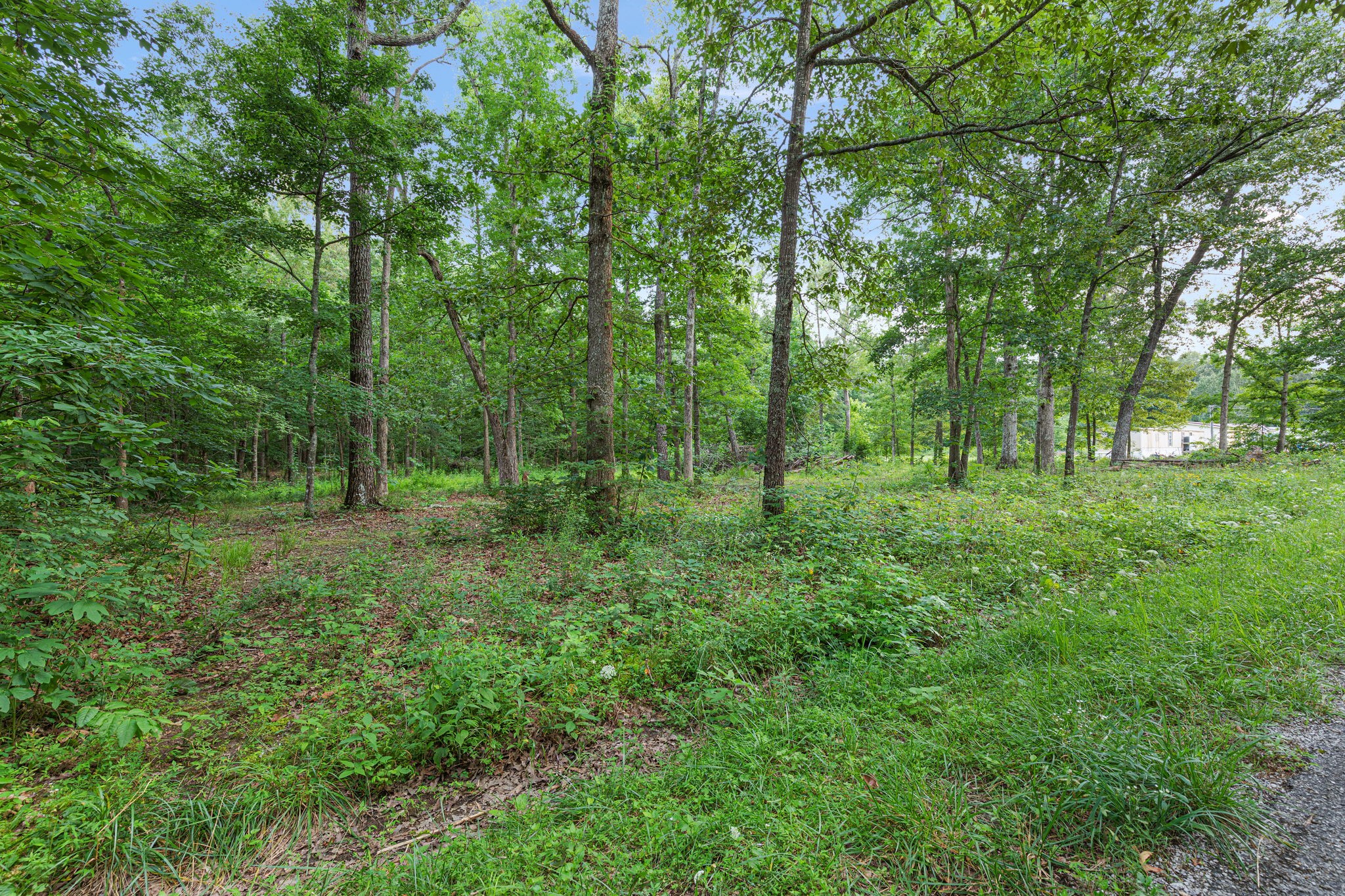 A Alice Boynton Road Manchester, TN 37355 - Photo 3 of 9 Gallery Image 3
