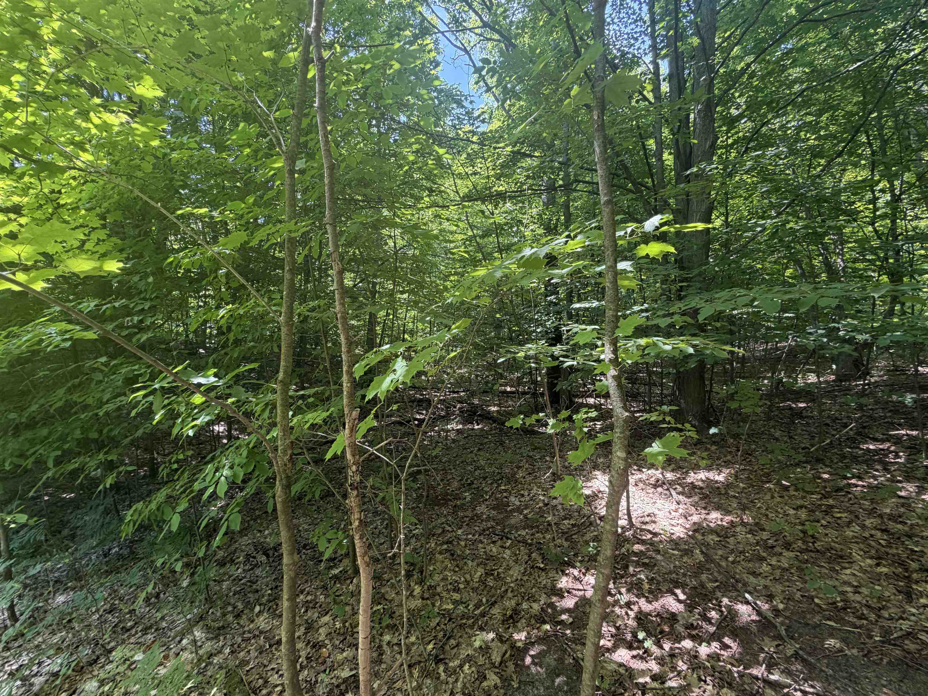 0 South Lou-Len Road Traverse City, MI 49684 - Photo 12 of 12 1947762-cd00596d-1d6b-48f5-9d22-17f9e6d4fc96.JPG