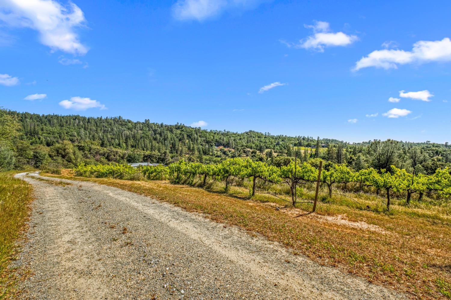 8221 Stoney Creek Road Somerset, CA 95684 - Photo 41 of 44 a view of a city street