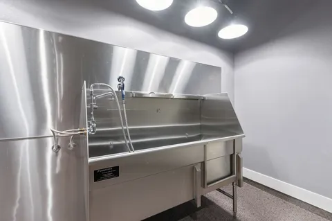 a view of a swimming pool