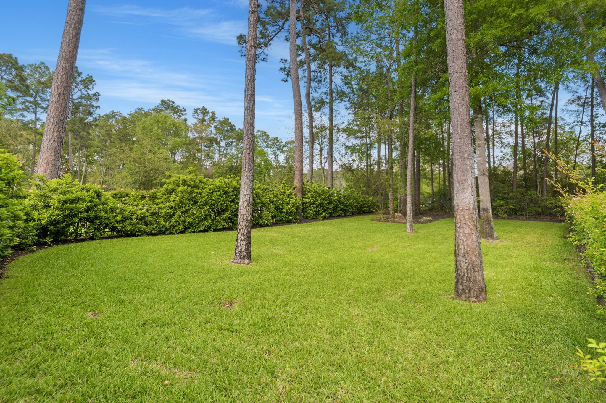 27614 Little Fox Crest Spring, TX 77386 - Photo 45 of 49 a view of a yard with a tree