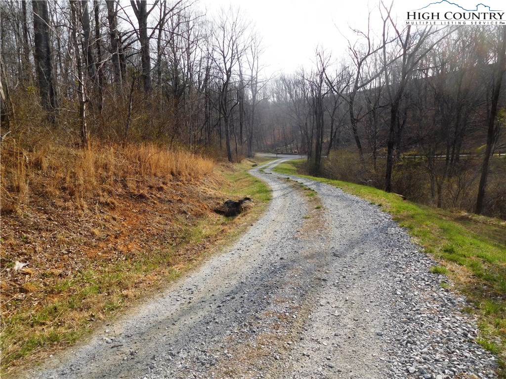 462 Halsey Knob Road Sparta, NC 28675 - Photo 15 of 23 Gallery Image 15