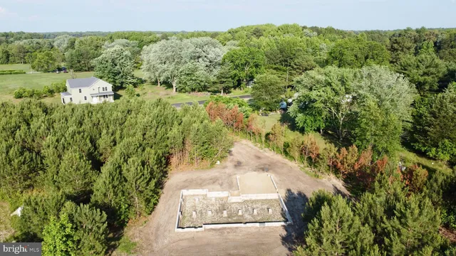 a view of a garden with a lake