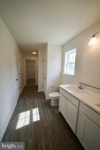 a bathroom with a sink and a toilet