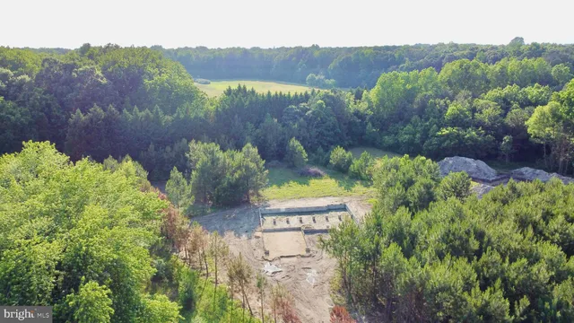 a view of a garden with a mountain