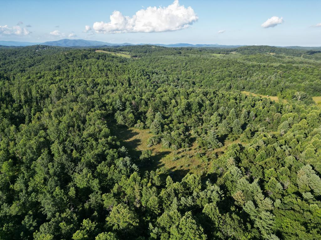 Tbd Claytor Road Northeast, Unit 17A7 Pilot, VA 24138 - Photo 1 of 16 Gallery Image 1