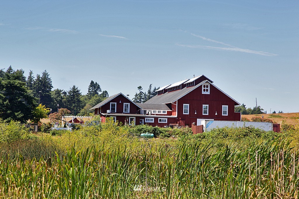 2867 North Bluff Road Greenbank, WA 98253 - Photo 25 of 25 Gallery Image 25