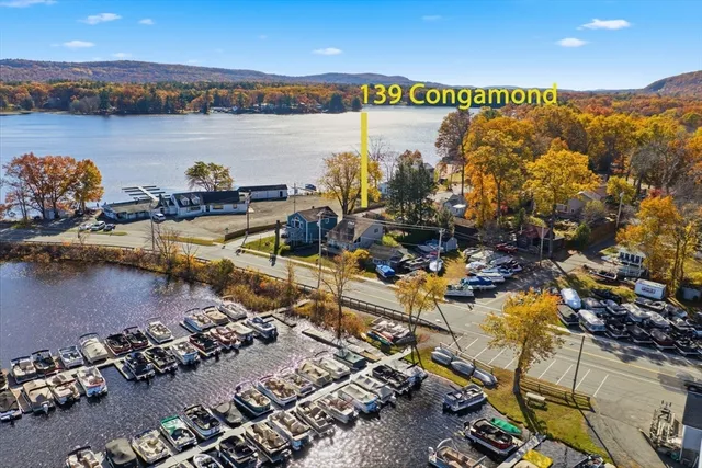 a view of a city and lake view