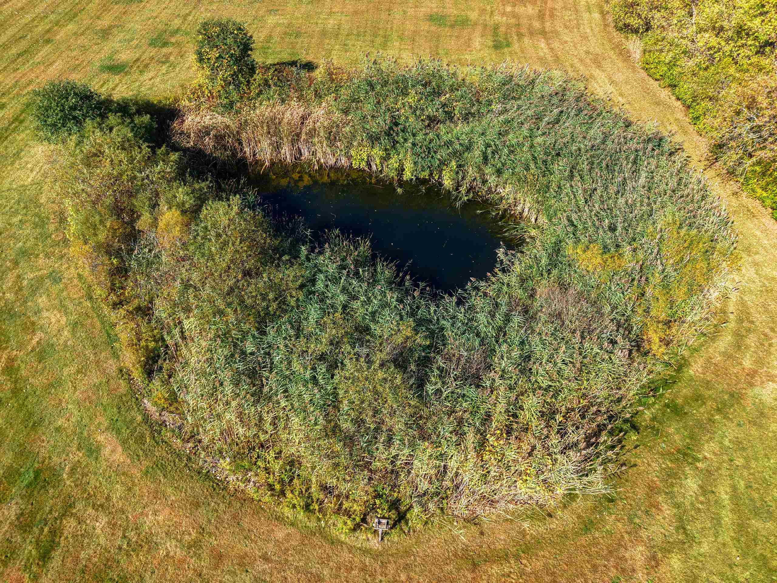 3910 Monroe Road De Pere, WI 54115 - Photo 52 of 74