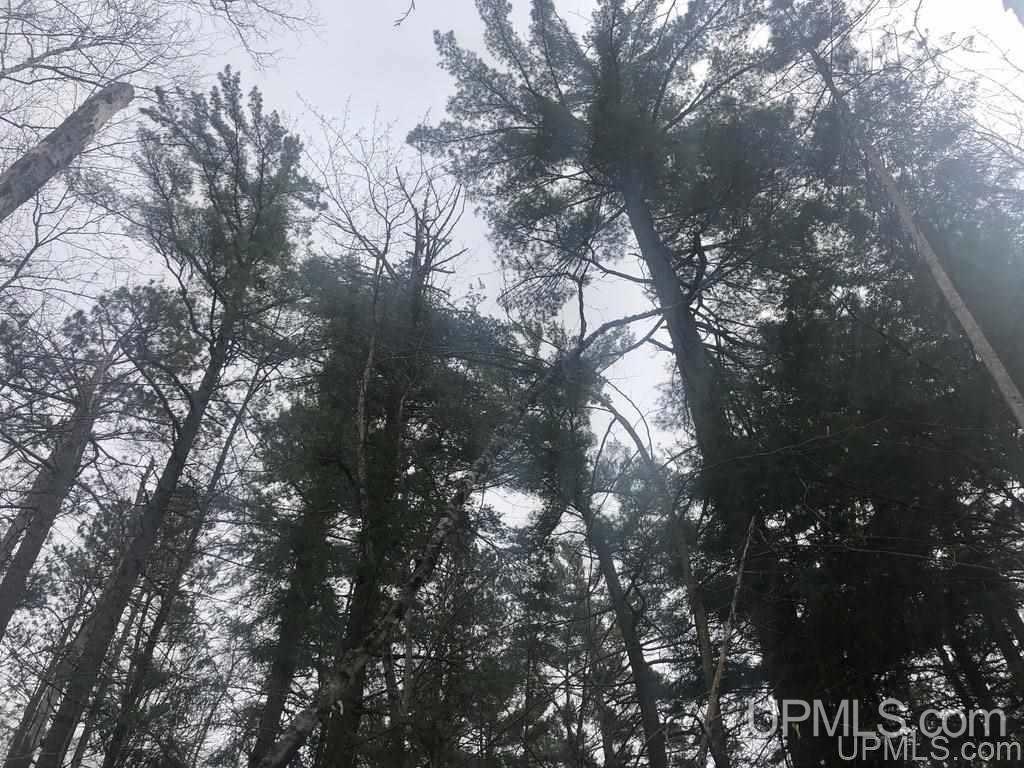 36.5 Shores Road, Unit 22 Manistique, MI 49854 - Photo 6 of 11
