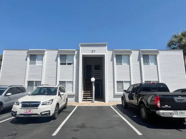 a row of palm trees and a yard in front of the house
