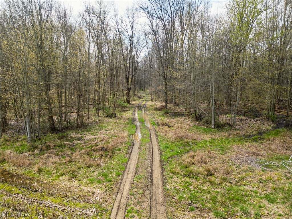 Steiner Road Creston, OH 44217 - Photo 6 of 7 Gallery Image 6