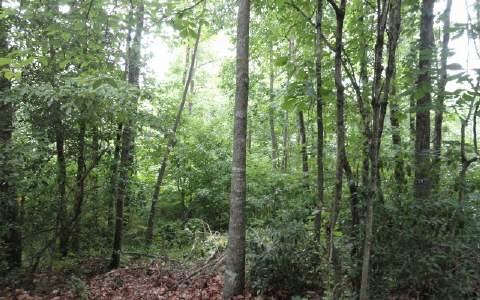 3 Settlement Road Young Harris, GA 30582 - Photo 3 of 3 Additional View