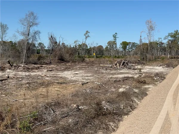 $210,000 | -35.01 Acres) Bacon School Road, Alma, GA 31510