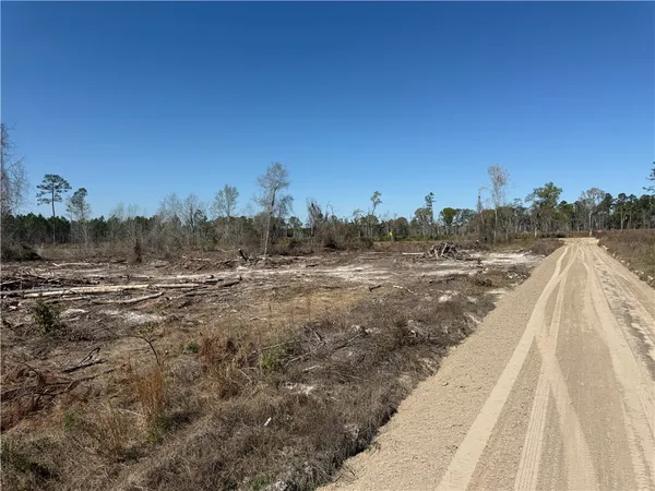 $210,000 | -35.01 Acres) Bacon School Road, Alma, GA 31510