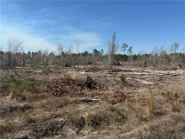 $210,000 | -35.01 Acres) Bacon School Road, Alma, GA 31510