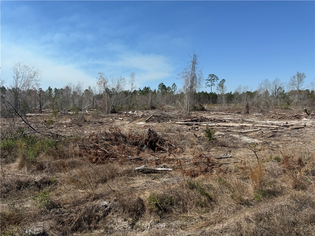 -35.01 Acres) Bacon School Road Alma, GA 31510 - Photo 13 of 19