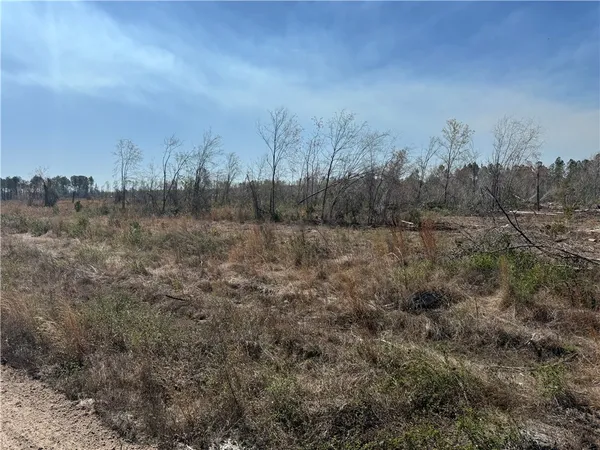 $210,000 | -35.01 Acres) Bacon School Road, Alma, GA 31510